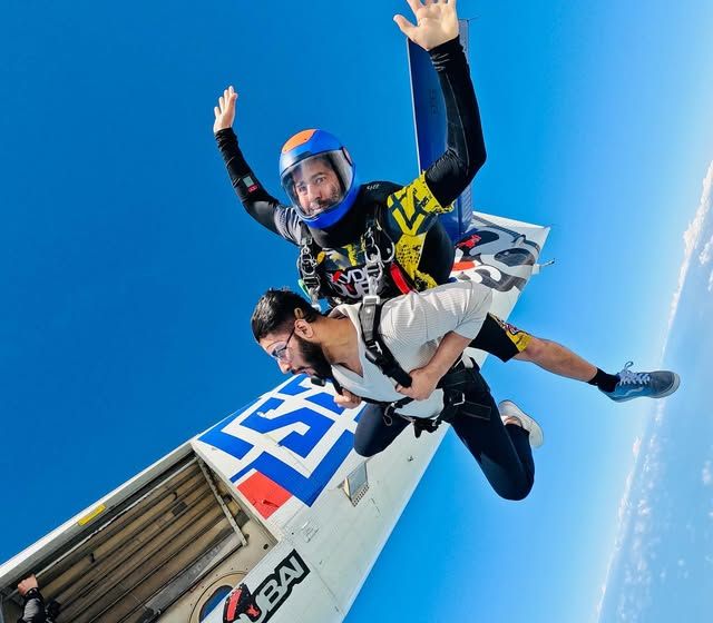 Freefall, 2024